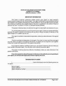 Free Fillable Colorado Power of Attorney Form