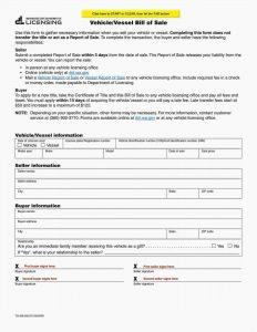 Free Fillable Washington Vehicle Bill of Sale Form